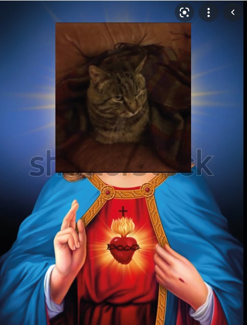 Pic of a striped cat photoshopped on jesus